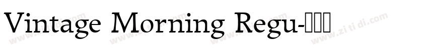 Vintage Morning Regu字体转换